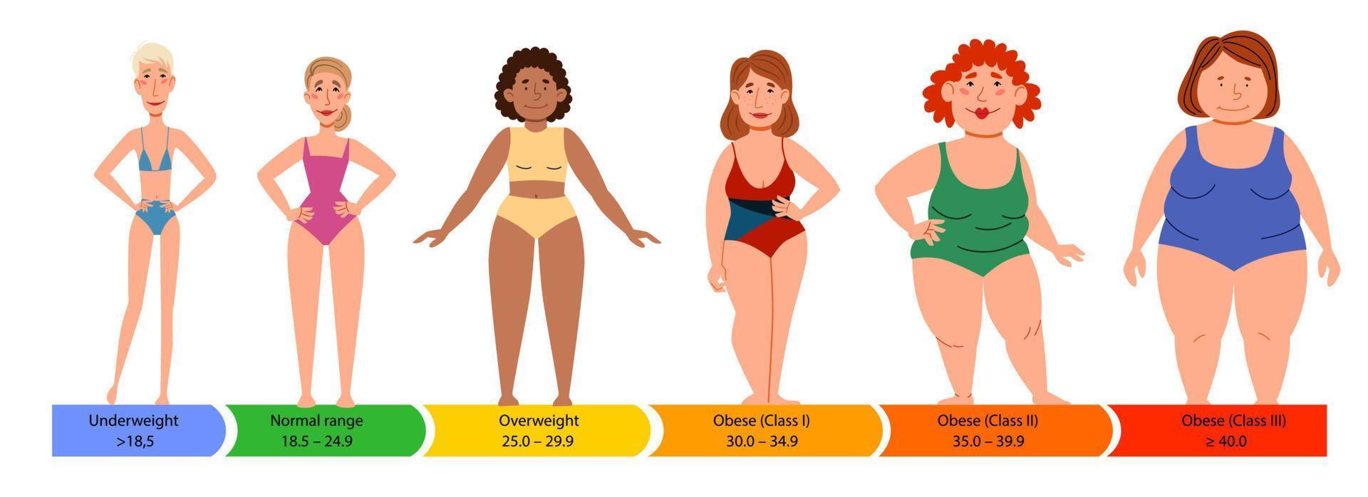 Categories with body mass index. Female silhouettes with a thick, normal and slender figure. vector