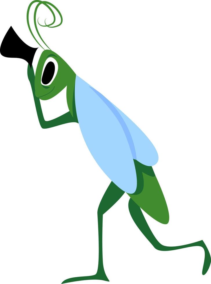 Grasshopper, illustration, vector on white background.