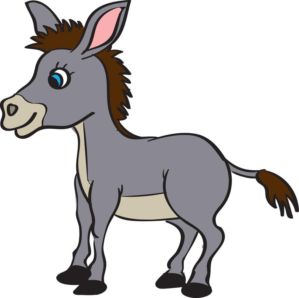 burro pequeño, ilustración, vector sobre fondo blanco.