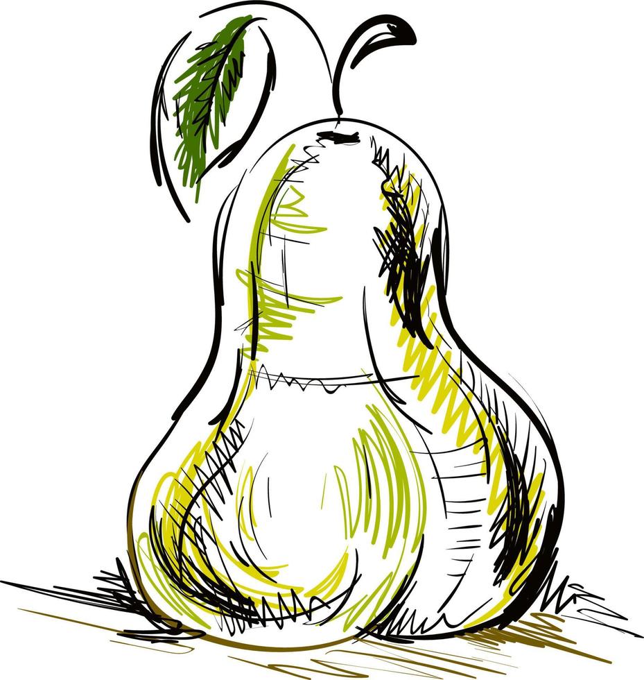 Sketch of a pear, vector or color illustration.