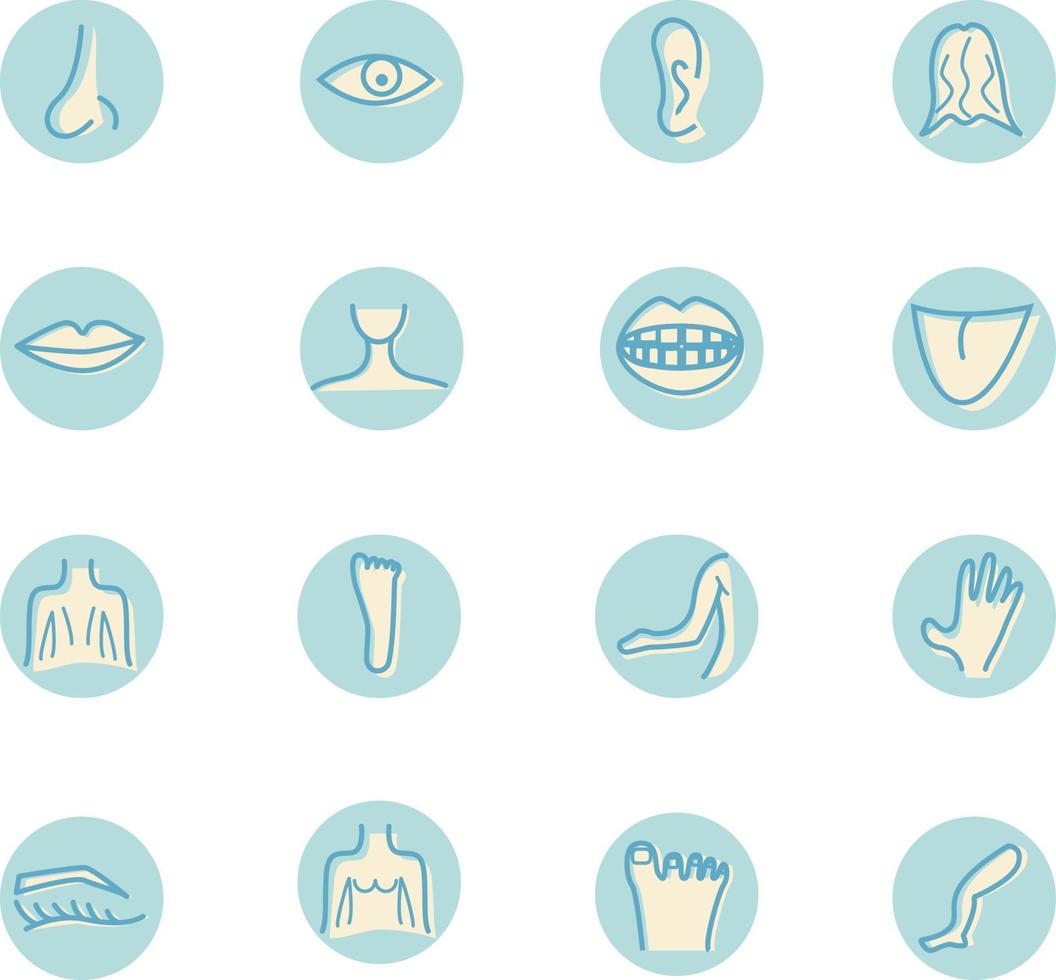 Human body parts, illustration, vector, on a white background. vector