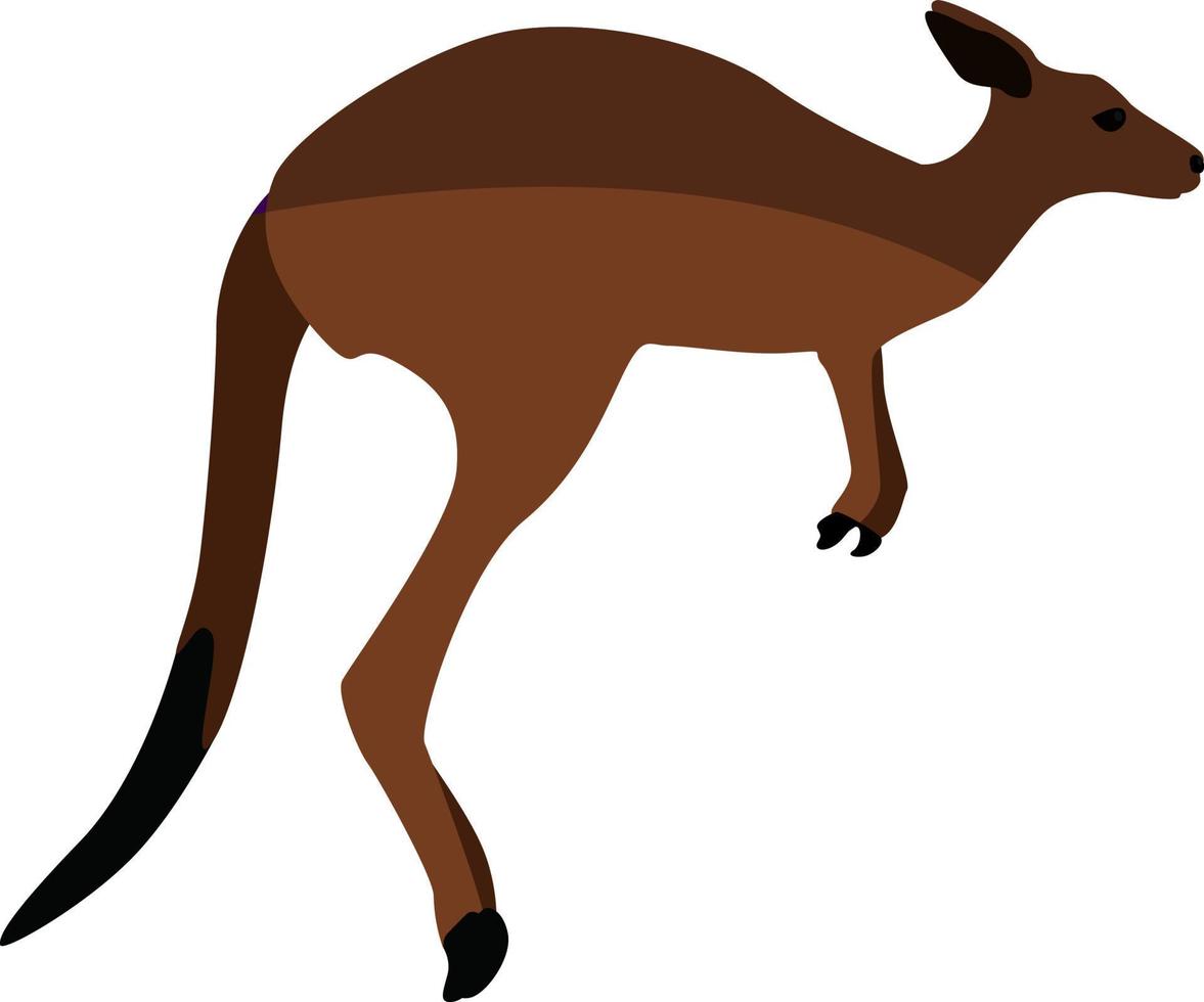 Brown kangaroo, illustration, vector on white background.