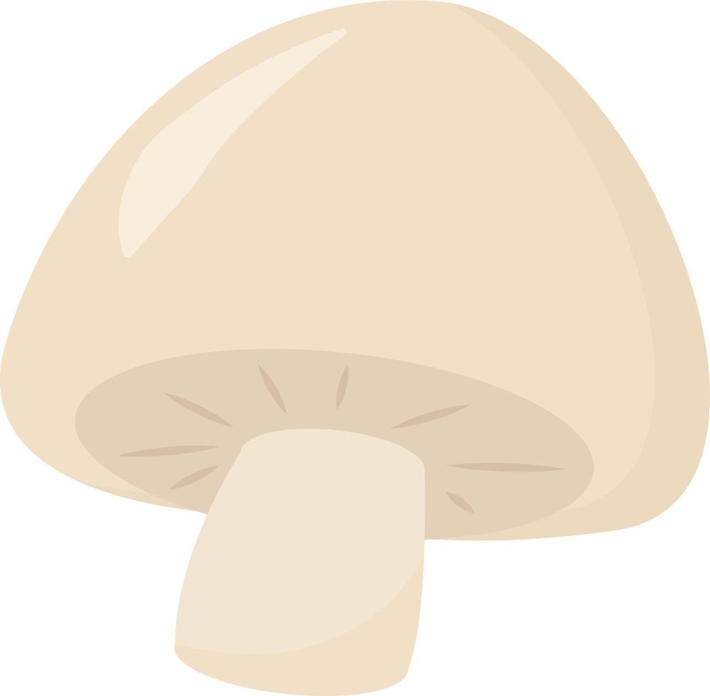 White mushroom, illustration, vector on white background.