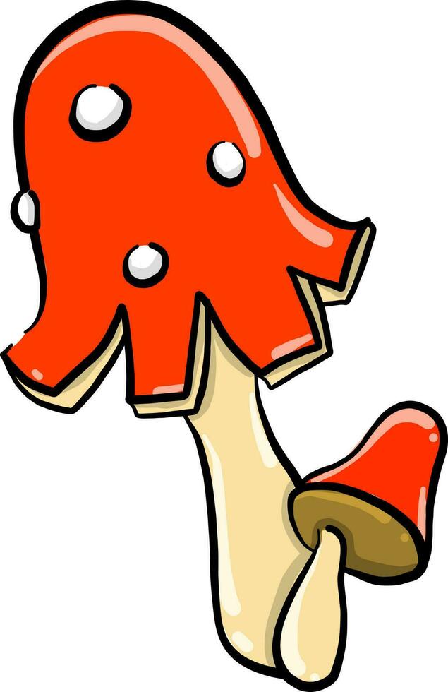 Red mushroom, illustration, vector on white background