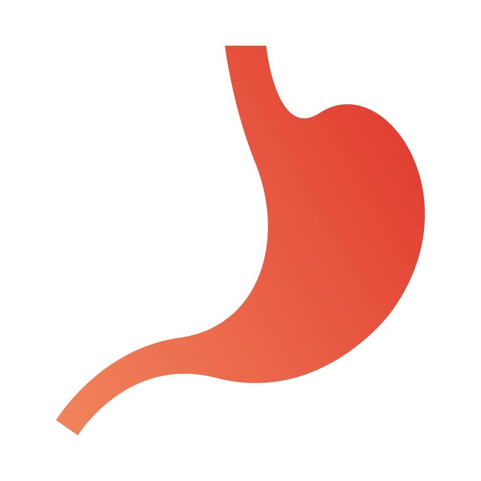 Human stomach icon sign on white background. Vector illustration.