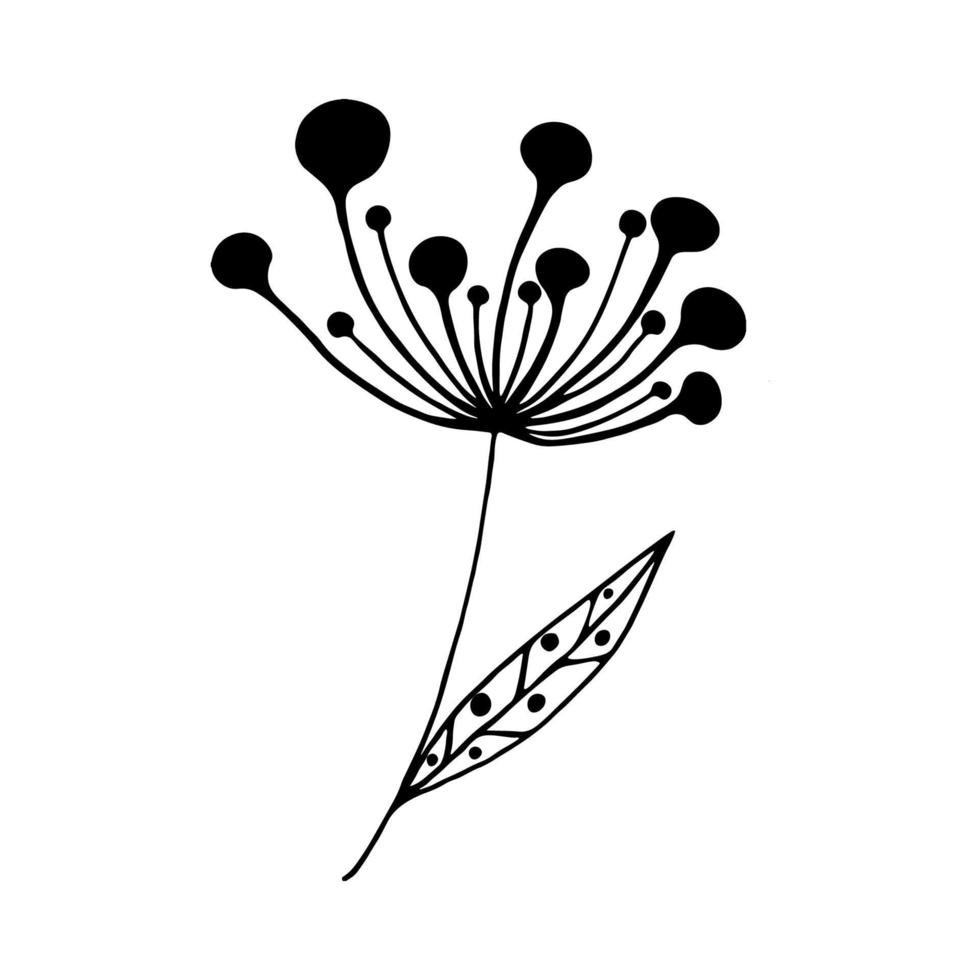 plantas de fideos dibujadas a mano con bayas redondas o flores aisladas en fondo blanco. ilustración vectorial un boceto de una rama con flores, bayas. diseño para impresión, pancarta, tarjeta de felicitación, logotipo vector