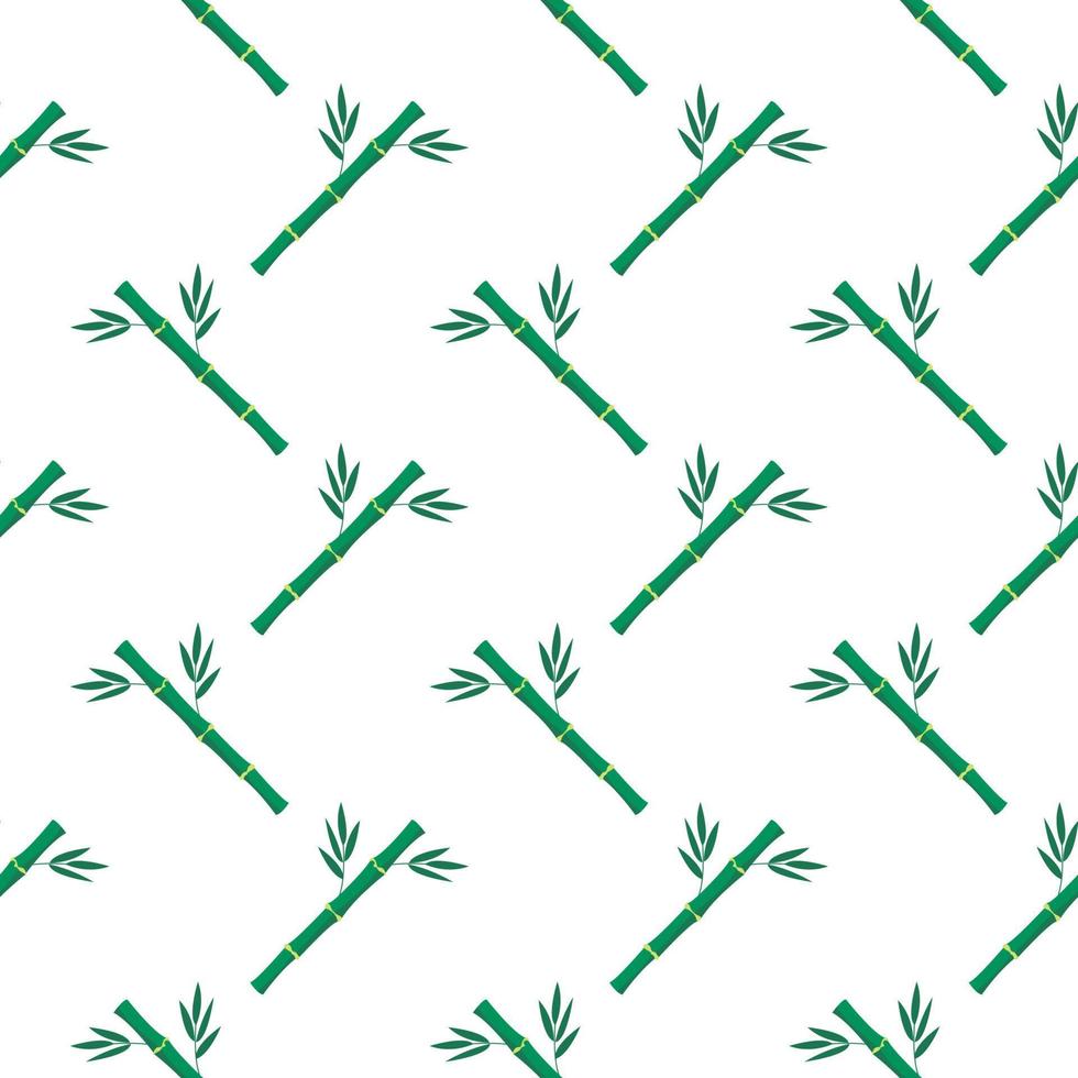Green bamboo ,seamless pattern on white background. vector