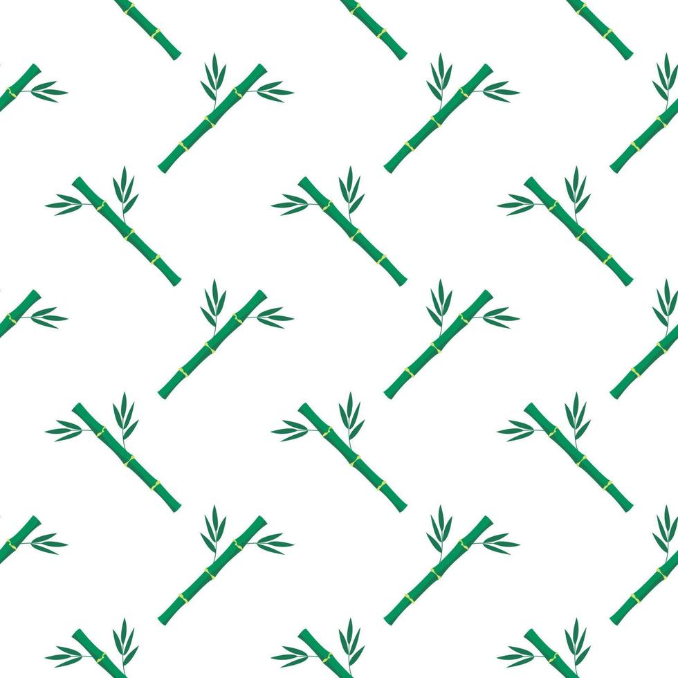 Green bamboo ,seamless pattern on white background. vector