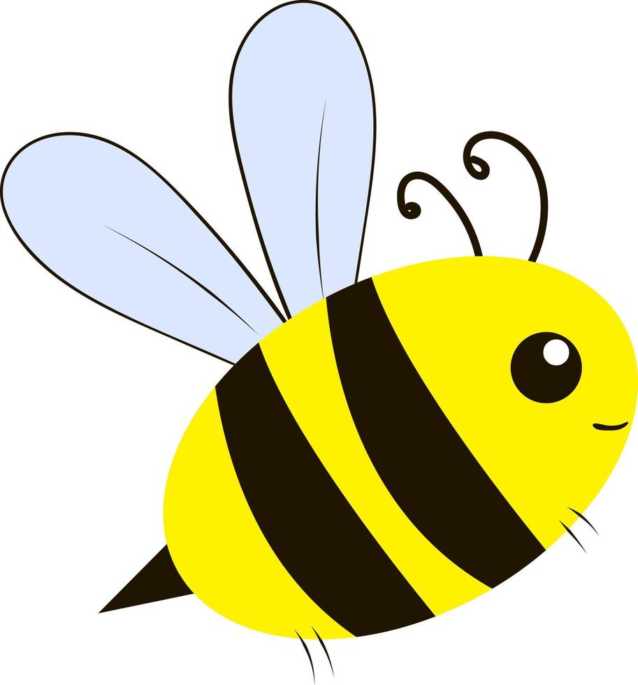 abeja linda, ilustración, vector sobre fondo blanco