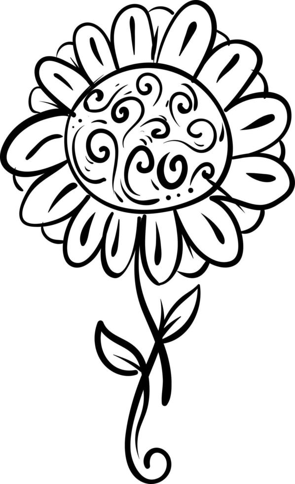 Daisy sketch, illustration, vector on white background.