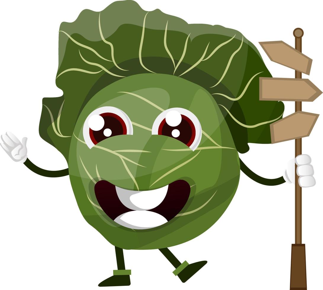 Cabbage with wooden signboard, illustration, vector on white background.
