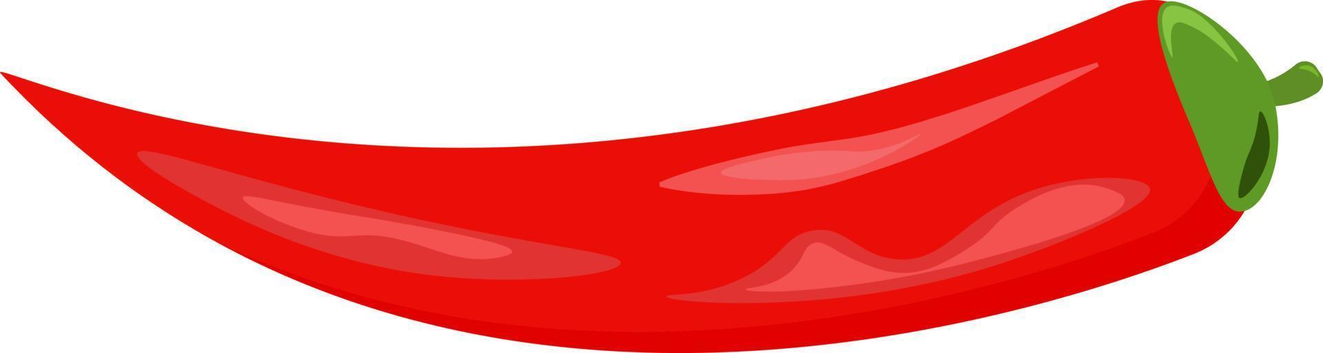 Red hot pepper, illustration, vector on white background.