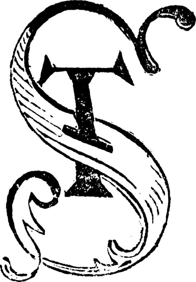 Decorative Letters St., vintage illustration vector