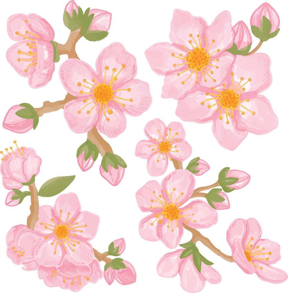 conjunto de flores de sakura acuarela, imágenes prediseñadas de flora rosa vector