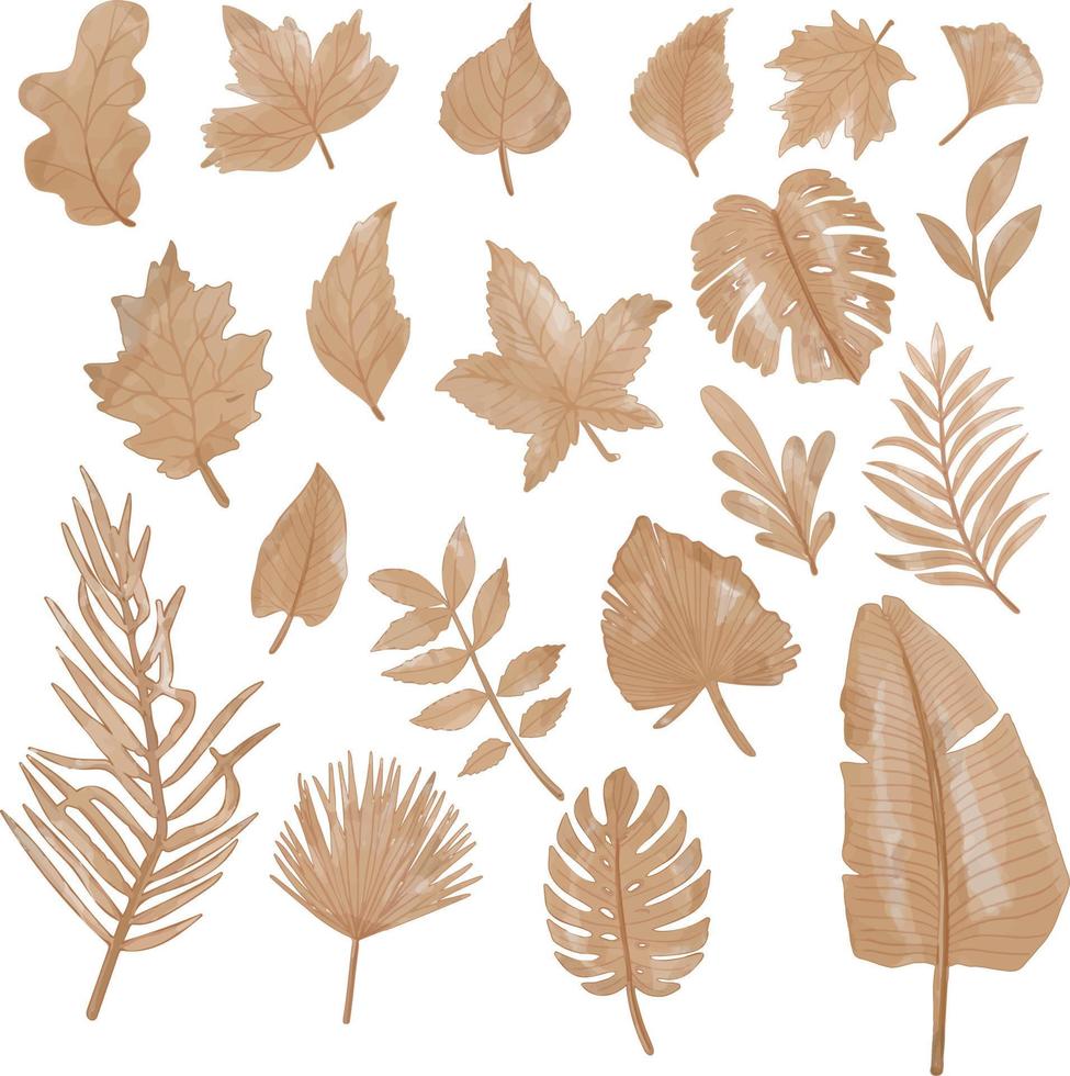 Set of Watercolor Dried Leaf, Branches clipart vector