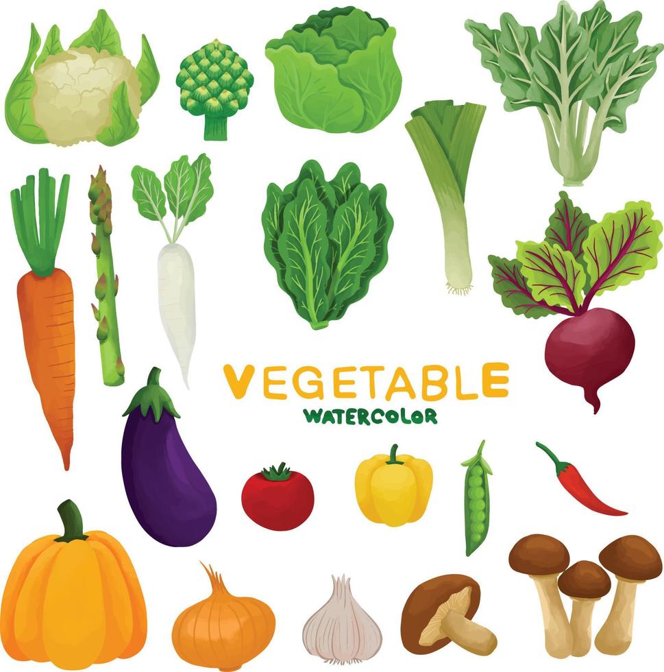 Set of Watercolor Fresh Vegetable clipart vector