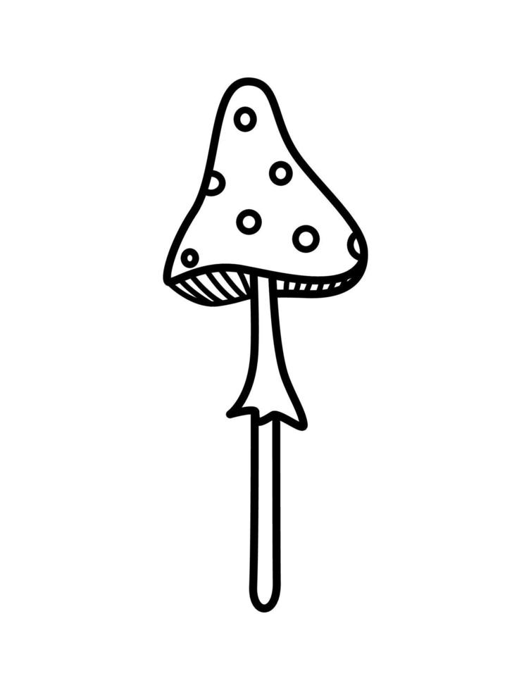 Fly agaric poisonous mushroom, vector cartoon illustration of isolate on white.
