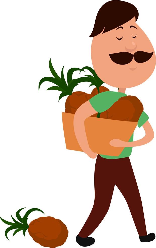 Man with pineapples, illustration, vector on white background
