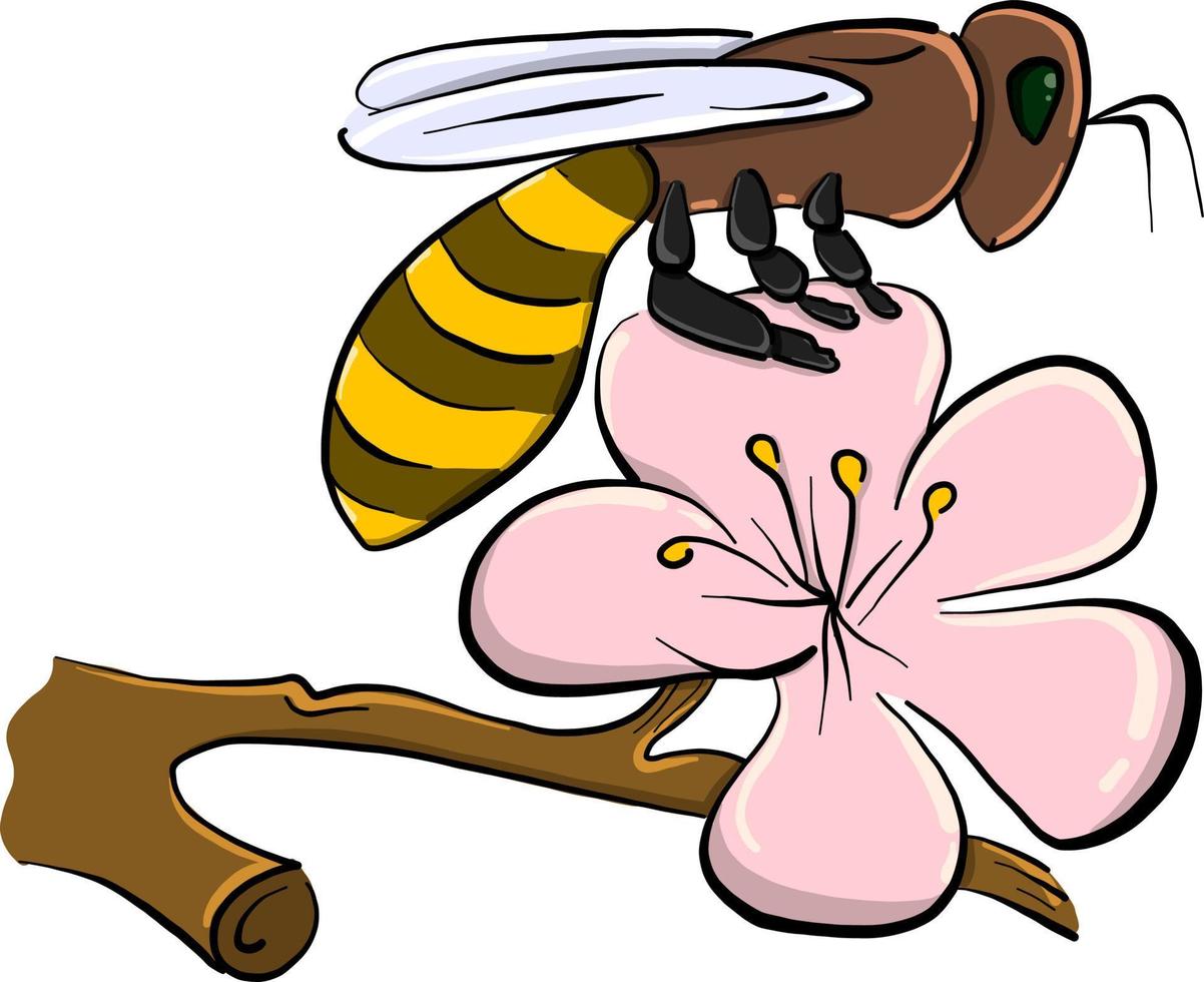 Bee on flower , illustration, vector on white background