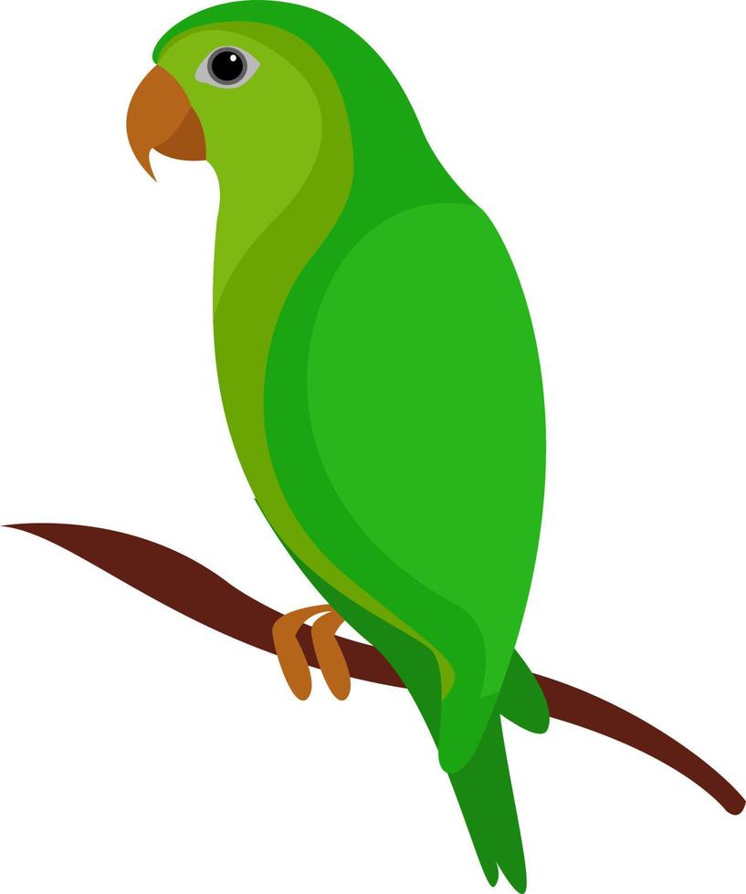 Green parrot, illustration, vector on white background