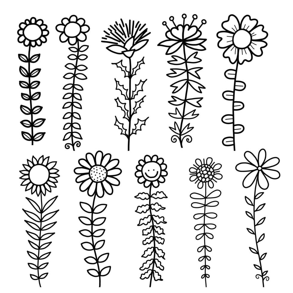 Tall Doodle Flower Line Drawings vector