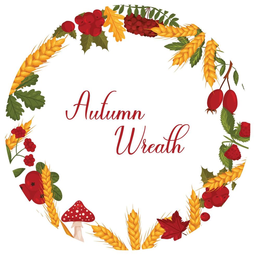 Autumn wreath with wheat, cranberries, berries, mushrooms and autumn leaves with space for text. Vector illustration isolated white background.