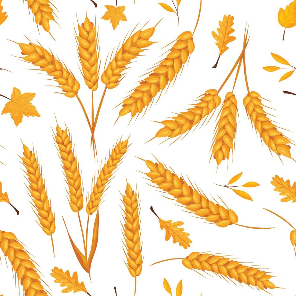 Seamless autumn pattern of wheat ears and yellow leaves white background. vector