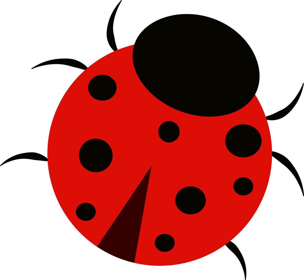 Ladybug, illustration, vector on white background.