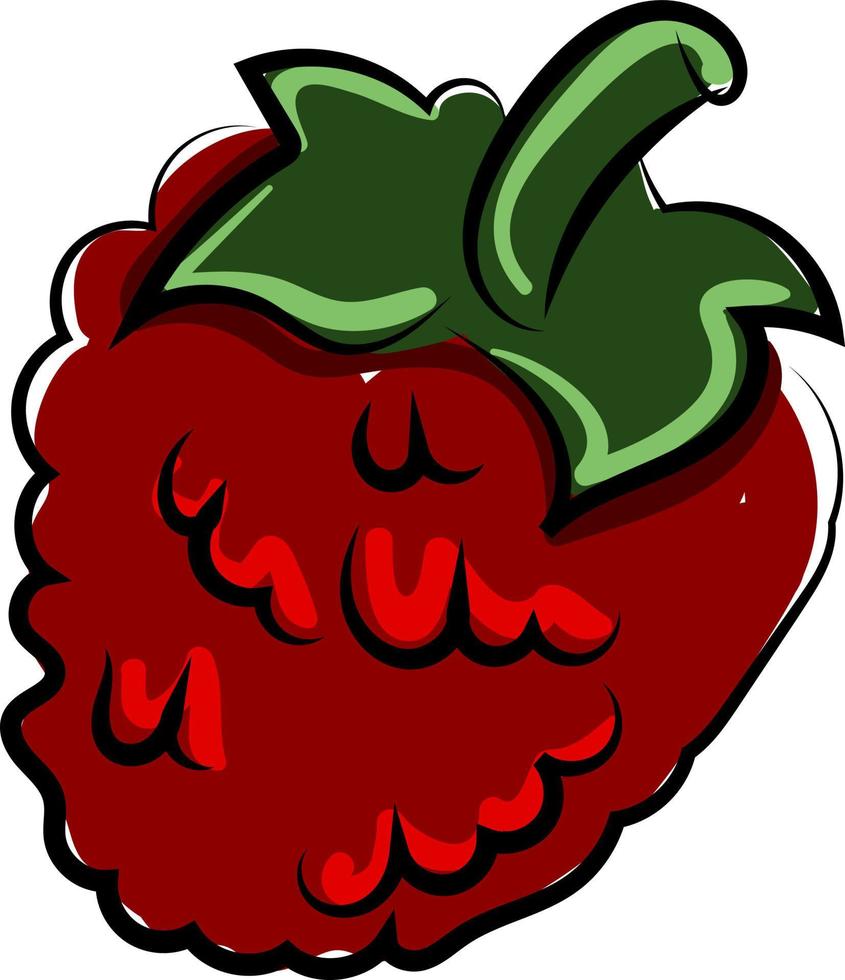 Red raspberries, illustration, vector on white background.