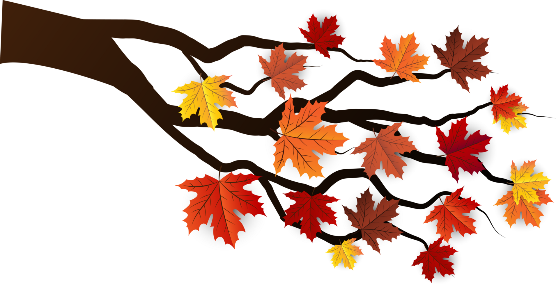 autunno le foglie elemento ritaglio png