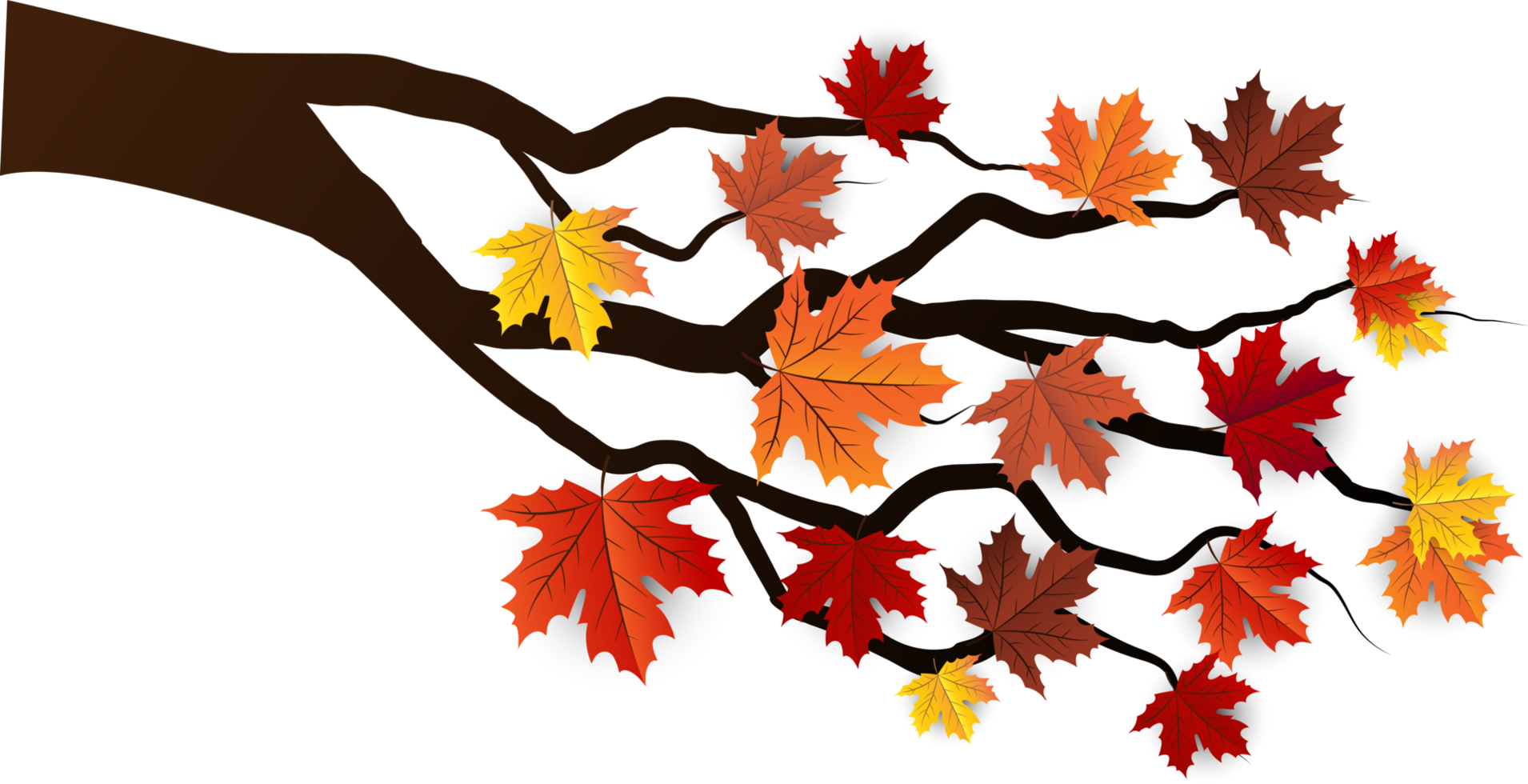 Autumn Leaves Element Cropout png