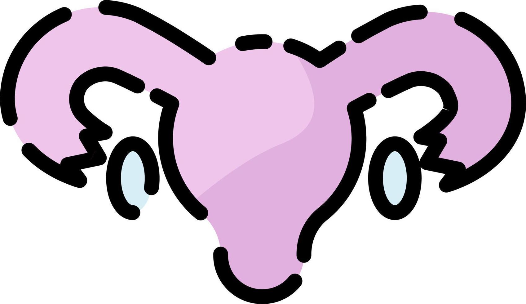 Women uterus, illustration, vector on a white background.