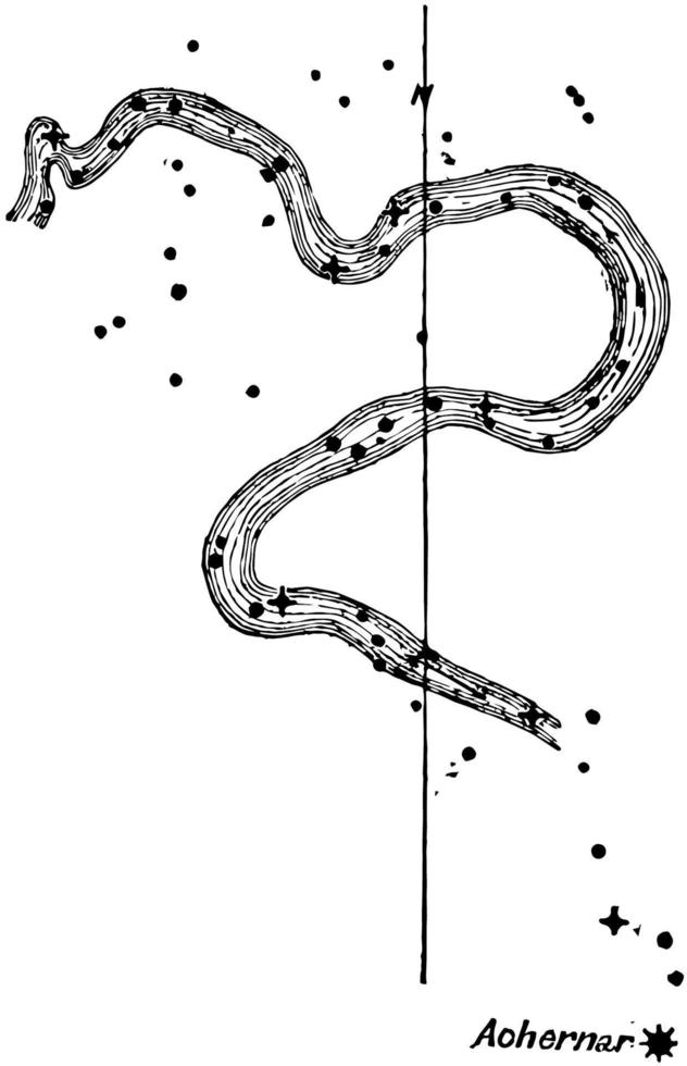 Eridanus vintage illustration. vector
