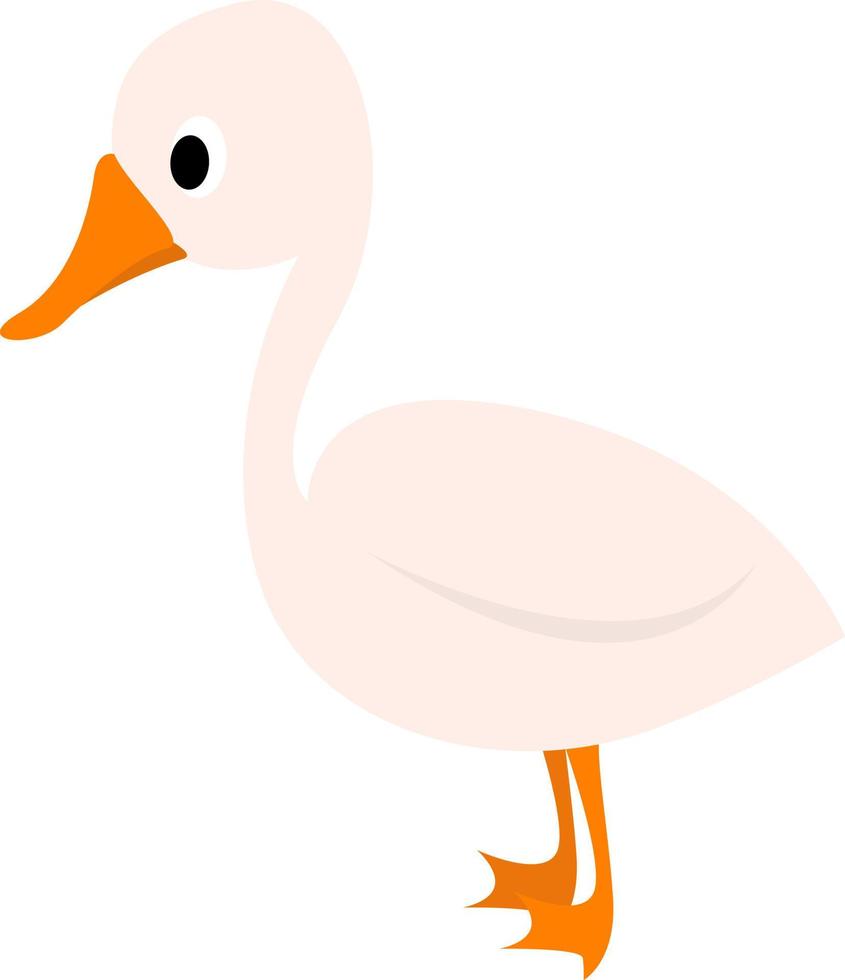 White duck, illustration, vector on white background.