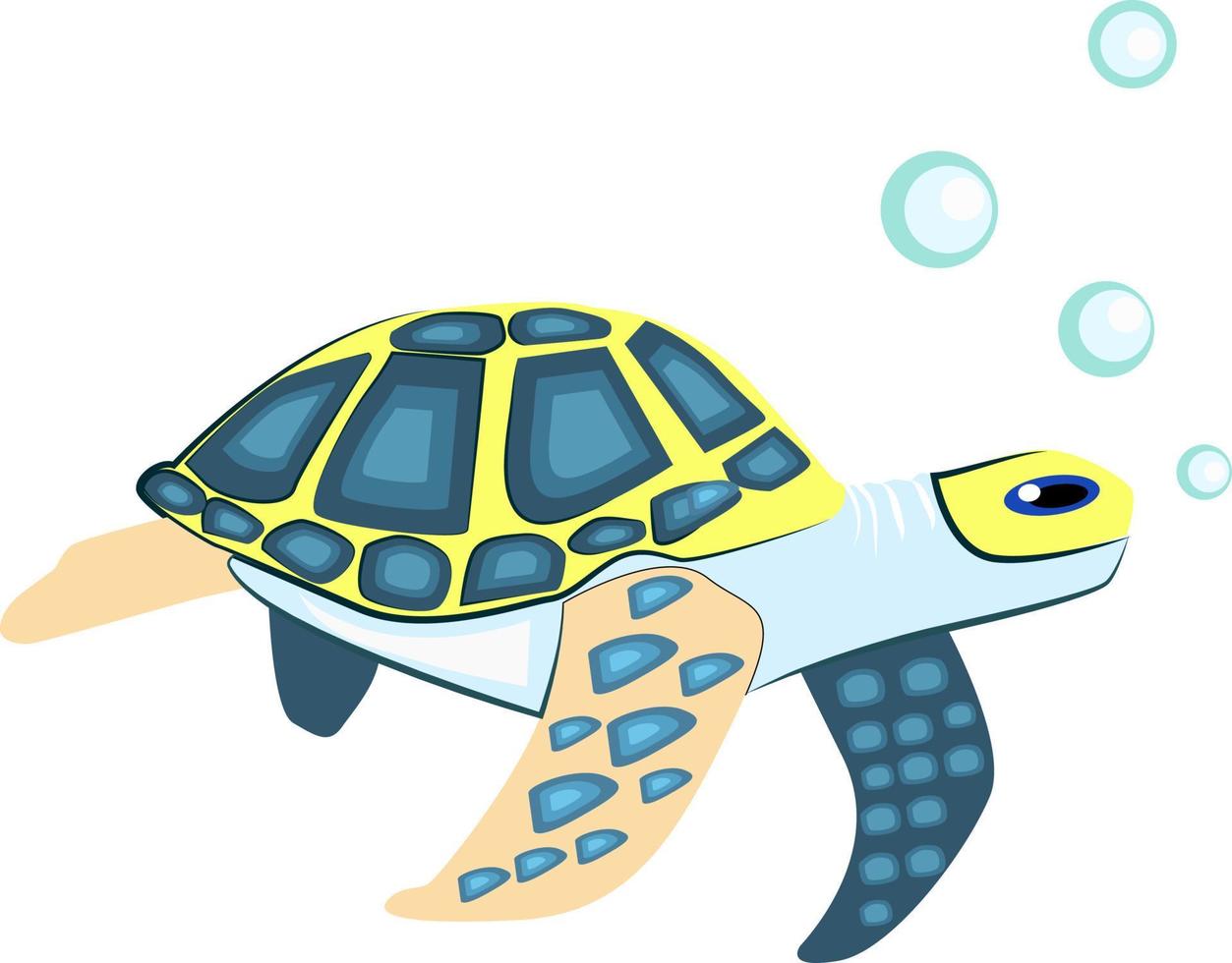 Tortoise, illustration, vector on white background.