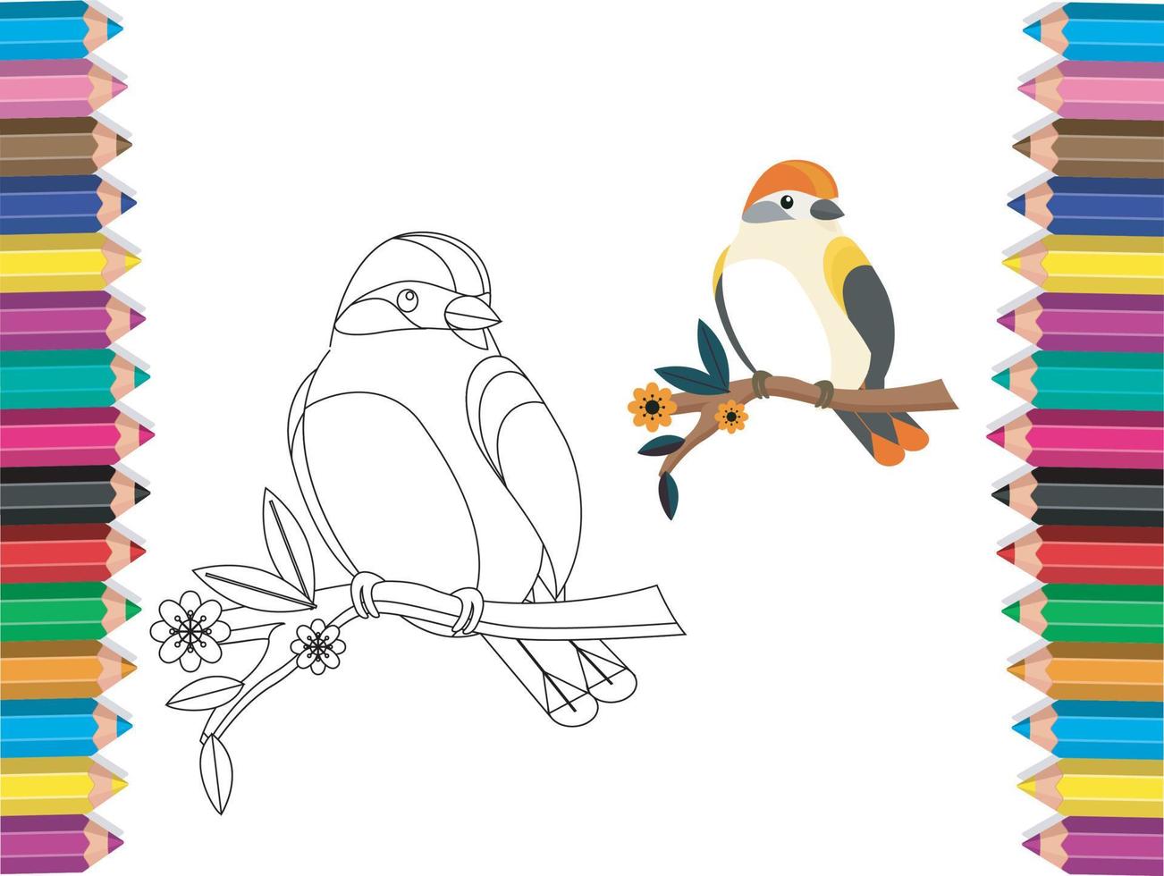 birds Coloring Pages vector