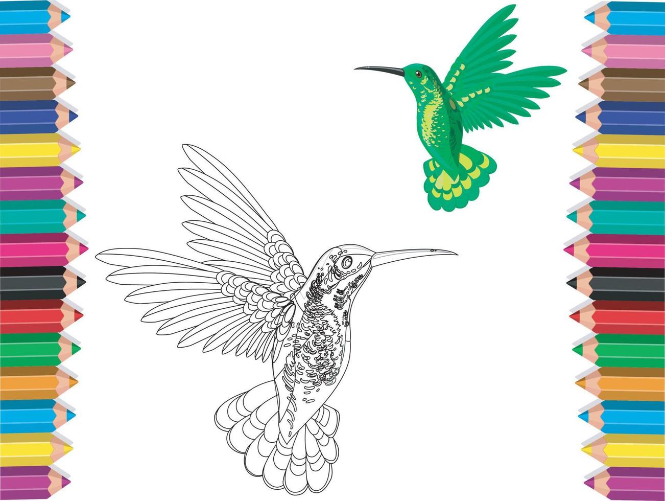 pájaros para colorear vector