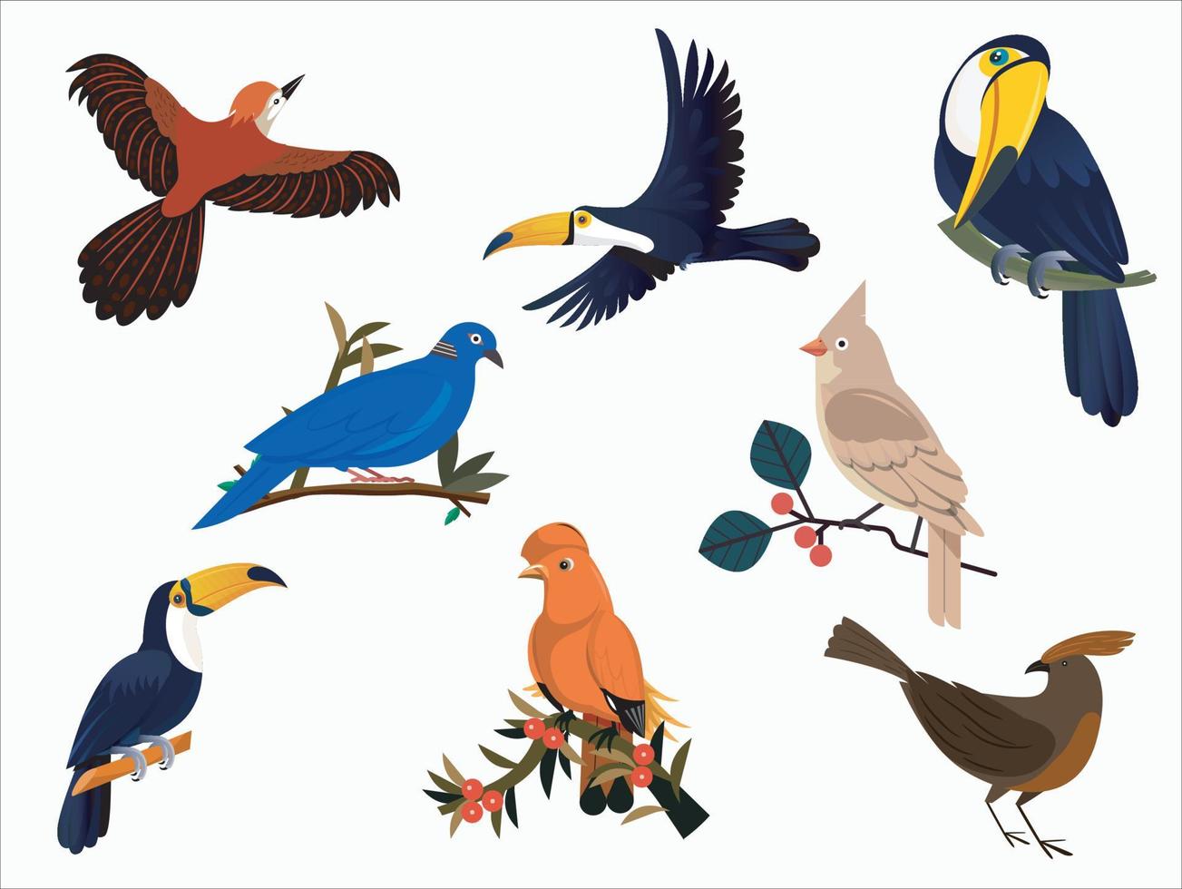 Different kinds of birds vector