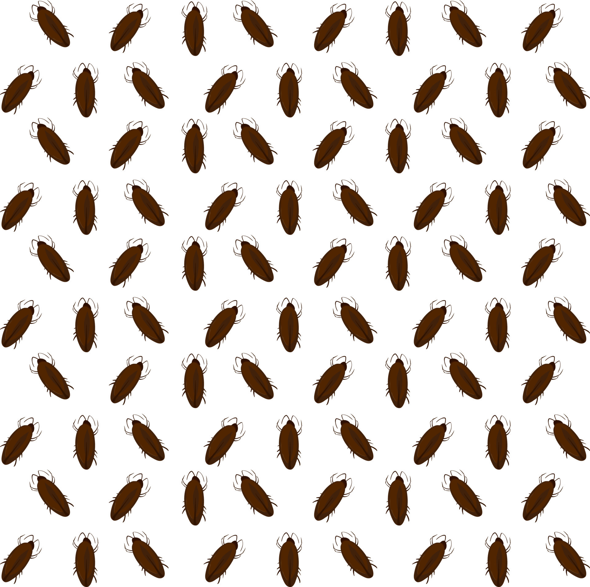 Download Smokey Brown Cockroach Wallpaper  Wallpaperscom
