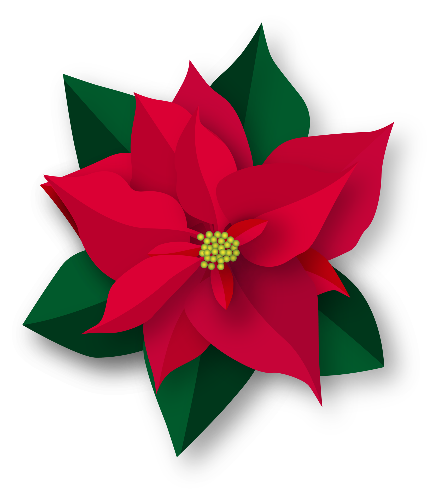 Red Illustrated Christmas Flower 13518572 PNG