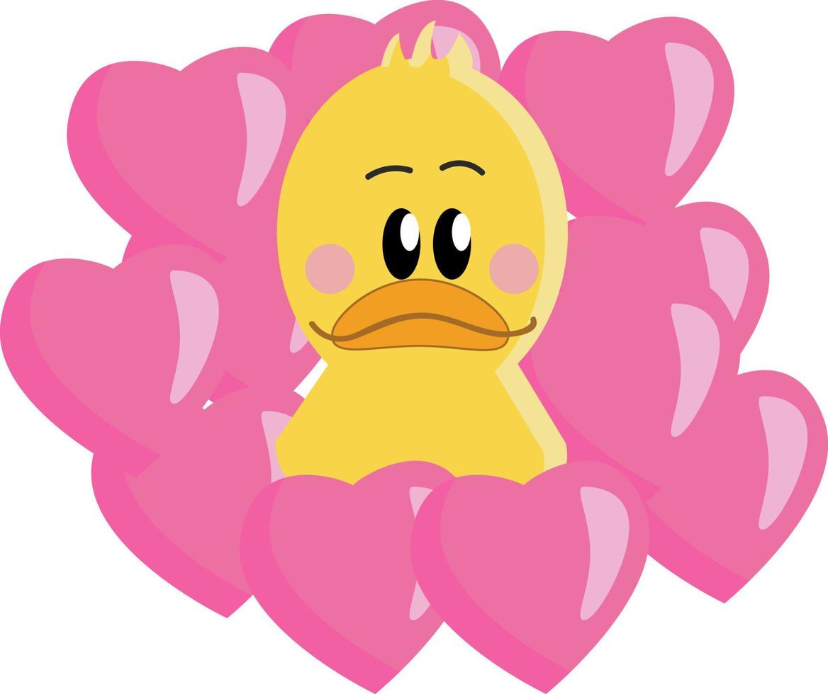 un pato amarillo en corazones rosas, vector o ilustración de color.