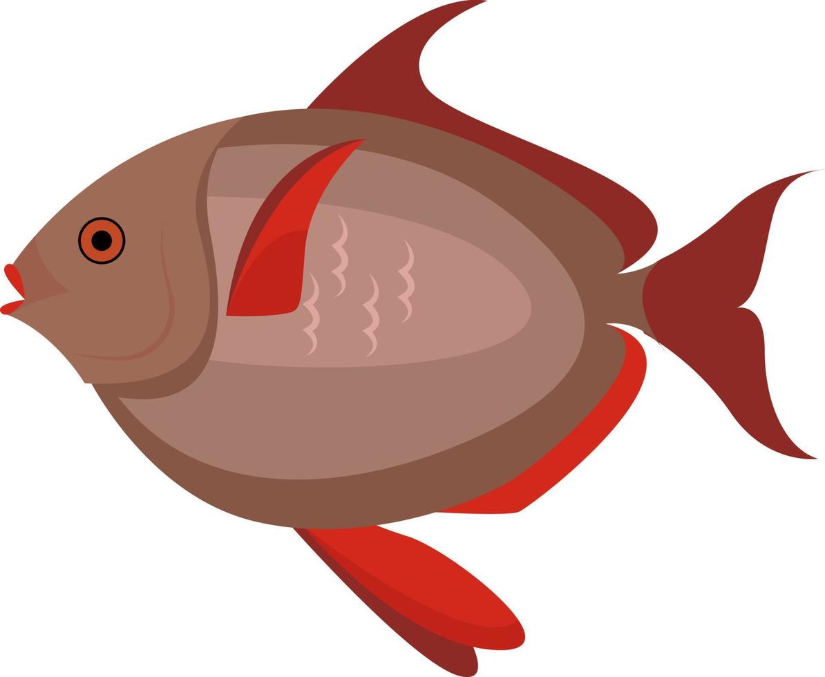 Red fish, illustration, vector on white background