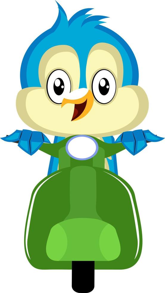 Blue bird is on a green motorbike, illustration, vector on white background.