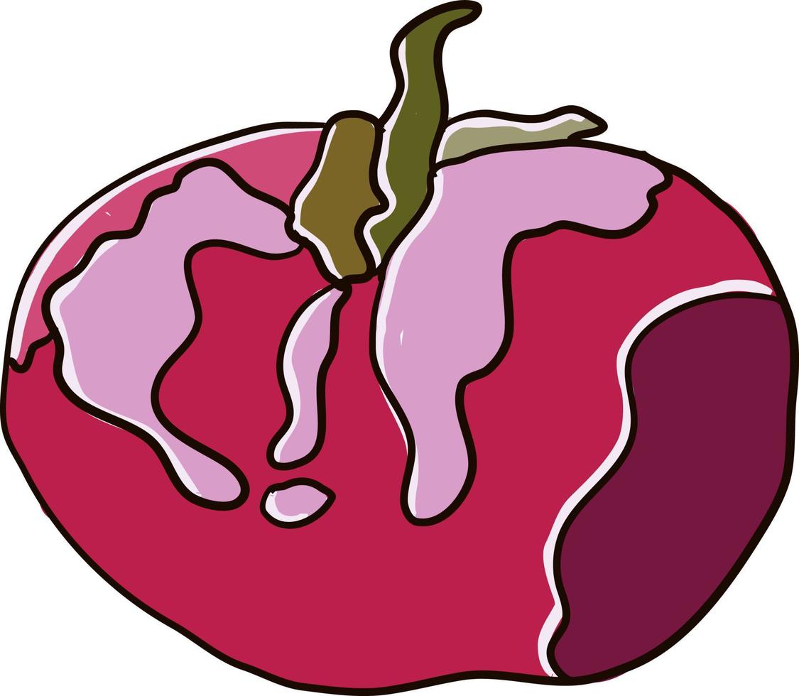 Pink tomato, illustration, vector on white background.