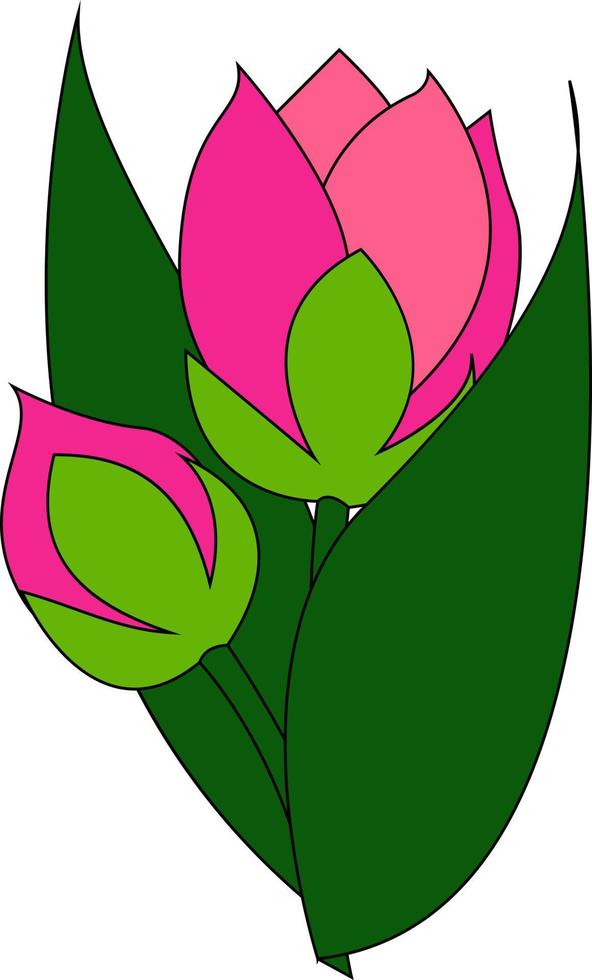 Pink bud, illustration, vector on white background.