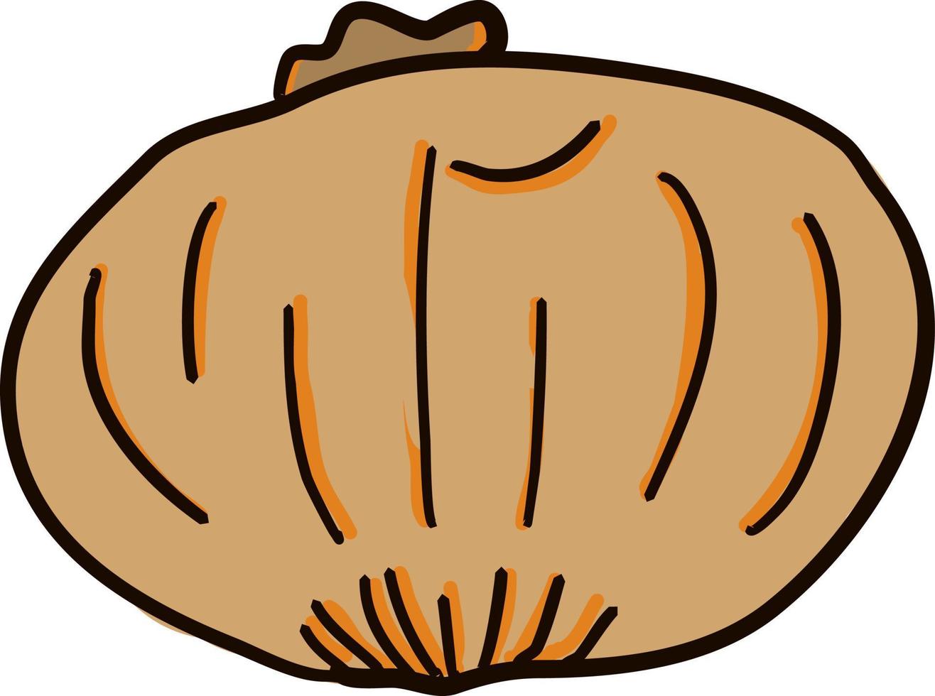 Onion drawing, illustration, vector on white background. 13519253