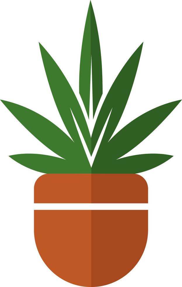 Baby palm in a pot, illustration, vector on white background.