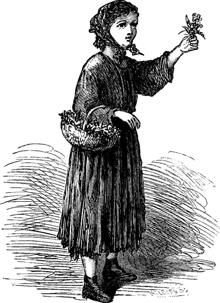 Flower lady , vintage illustration. 13519358 Vector Art at Vecteezy