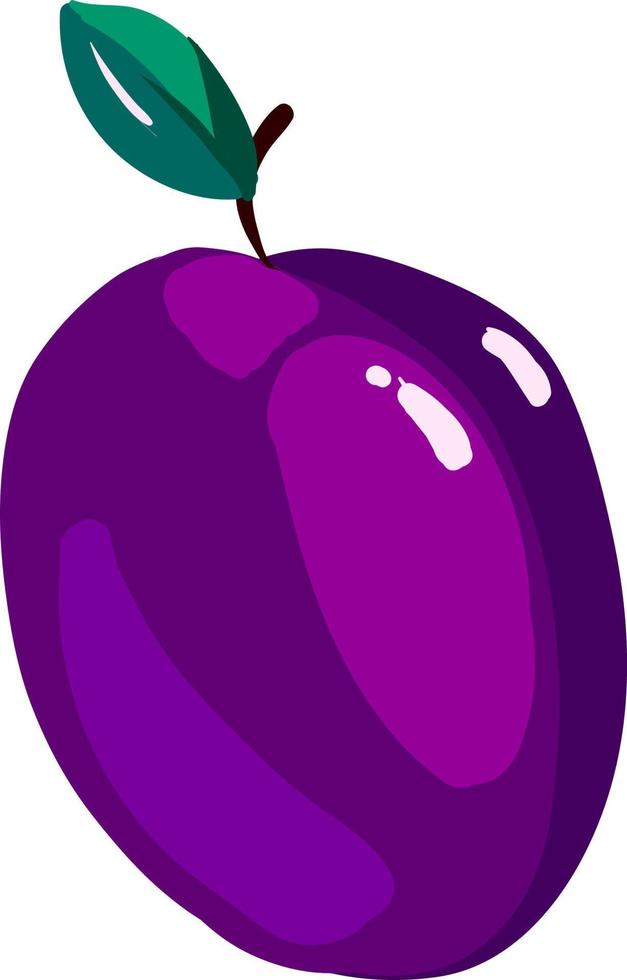 Plum flat, illustration, vector on white background.