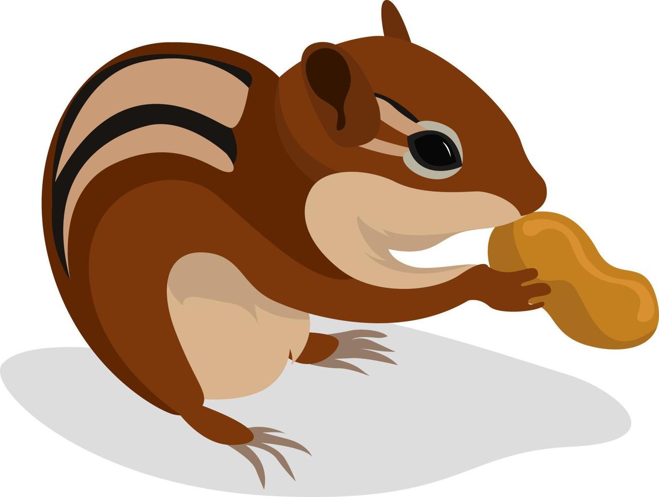 Chipmunk con maní, ilustración, vector sobre fondo blanco.